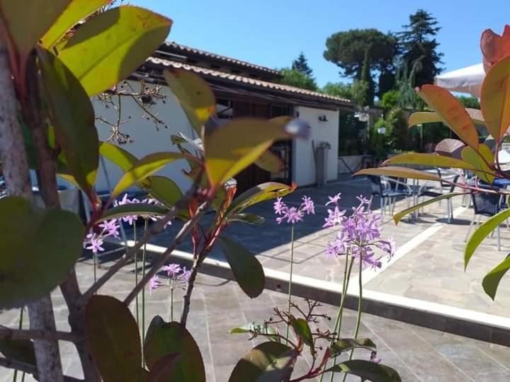 Borgo Nicoletta Case Per Le Vacanze Filandari Eksteriør bilde